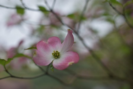 A94D9A50-1C5F-4383-9A3B-A4BF4F8D00A8